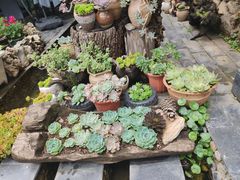 -炊烟餐厅