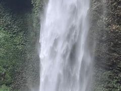 -云南屏边大围山国家公园