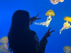 -太平洋海底世界