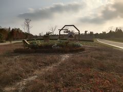 -同里国家湿地公园