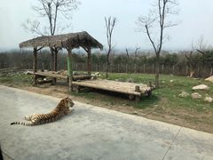-西安秦岭野生动物园