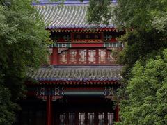 -灵谷景区