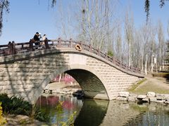 -大兴滨河森林公园