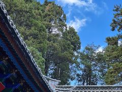 -寂照庵
