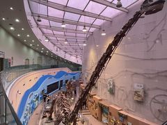 -陕西自然博物馆