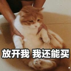 -恐龙·美甲美睫