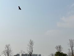 -府河摄影公园