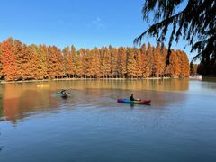 -上海海湾国家森林公园