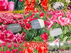 -国家植物园