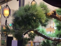 -绿茶餐厅(千岛湖银泰城店)