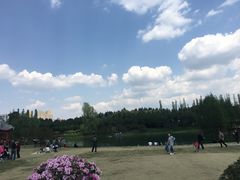 -秀丽东方