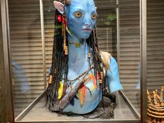 -奥兰多迪士尼动物王国乐园