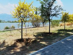 -野鸭湖国家湿地公园