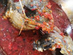 -风鑫铃罗非鱼(道沟店)
