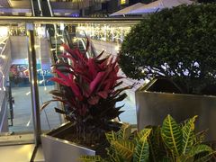 -中海环宇荟