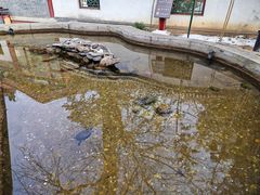 -红螺寺