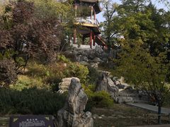 -莲花池公园