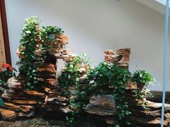 -品湘宴·湖南宁乡菜