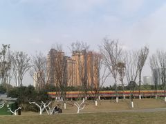 -府河摄影公园