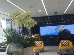 -马泷齿科·成都锦江置略马泷口腔门诊部(IFS国金中心店)