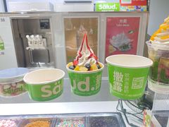 -Salud撒露欧洲冻酸奶(北苑上品店)