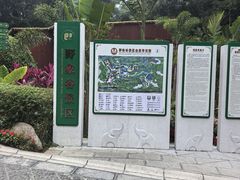 -野象谷景区