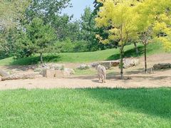 -北京野生动物园