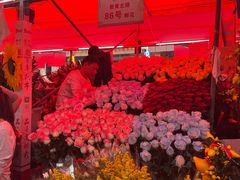-越秀西湖花市(广州城市广场花卉店)