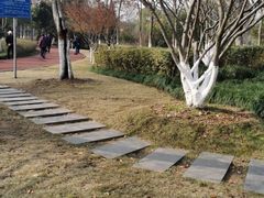 -杭州城北体育公园