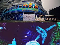 -青岛嘉年华主题乐园