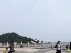 -野狸岛