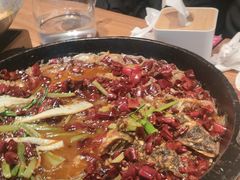 -老板恋上鱼(恒隆广场店)