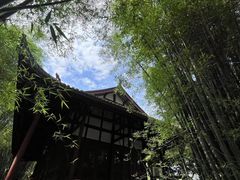 -望江楼公园