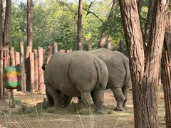-北京野生动物园