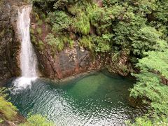 -花岩国家森林公园