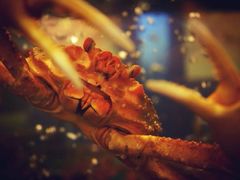 -蟹之国·精品蟹料理(极地店)