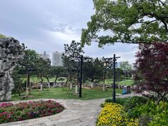-江心屿景区