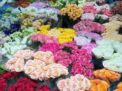 -双季花艺园艺市场(浦东店)