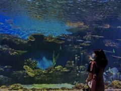 -华夏文旅海洋公园