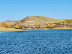 -乌兰布统景区-白桦林