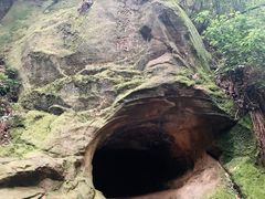 -缙云山景区