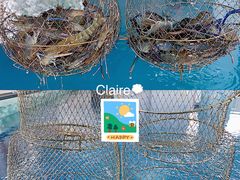 -SHRIMP CLUB万东餐饮钓虾·清吧