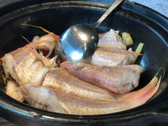 -五稻厨房粤西菜(新闻店)