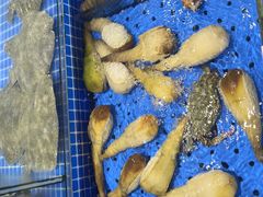 -鲜得莱渔港·小平岛海胆馆(七贤岭店)