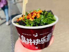 黑色经典臭豆腐-黑色经典臭豆腐·湖南特产(潇湘文化店)