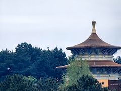 -铁山坪森林公园