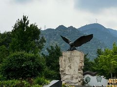 -北京鹫峰国家森林公园