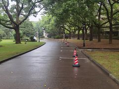 -上海虹桥迎宾馆