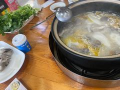 -15年老字号鑫鑫猪肚鸡·椰子鸡海南火锅(兴隆华侨农场店)