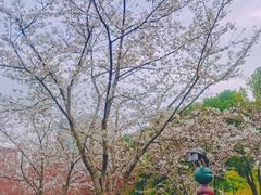 -静安雕塑公园
